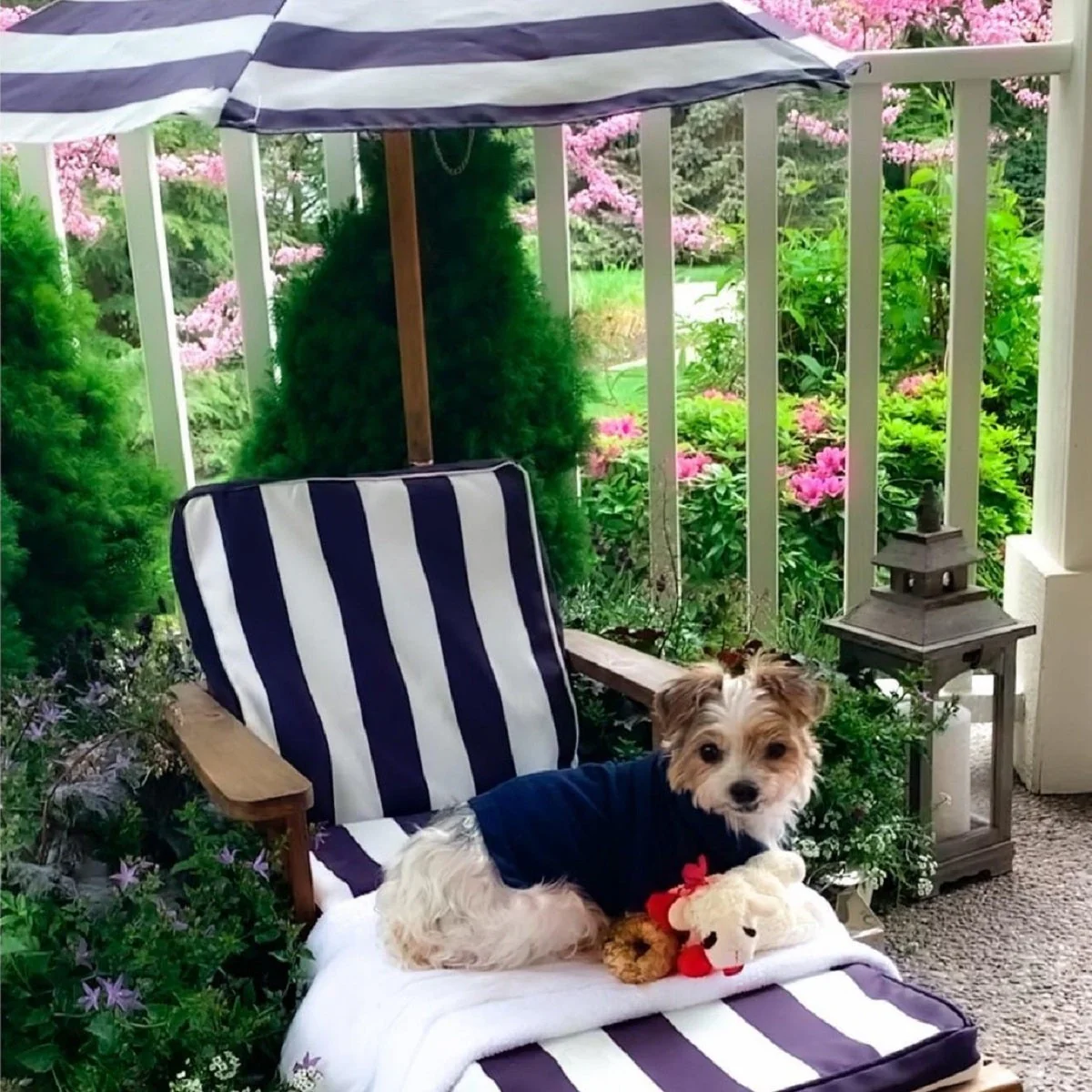 Outdoor Chaise with Umbrella - Navy - Image 2